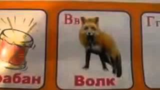 Тупая игрушка учим алфавит для детей - видео магазин игрушек
