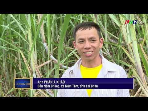 NẬM TĂM NỖ LỰC GIẢM NGHÈO BỀN VỮNG