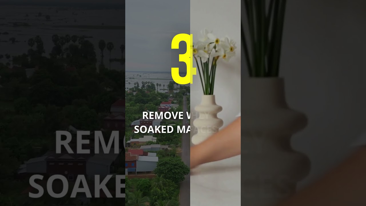 How to Prevent Mold After Water Damage | 5 Quick Tips #waterdamage #moldprevention