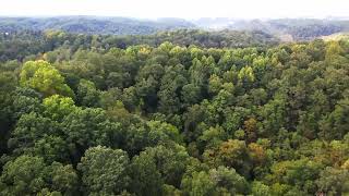1099 Deerwood Trl video tour