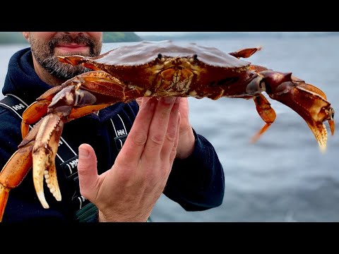 How to Catch Dungeness Crab in Alaska