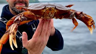 How To Catch Dungeness Crab In Alaska