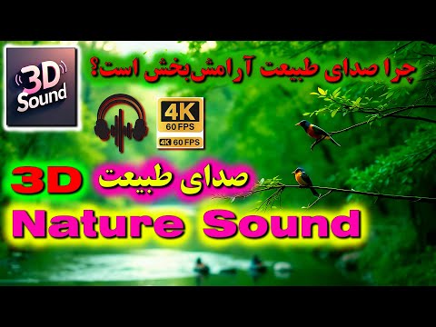 صدای سه بعدی طبیعت چرا صدای طبیعت آرامش بخش است    صدای رودخانه و پرندگان