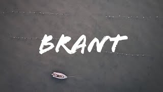 Brant Hunting | WA State Veteran BRANT Hunt