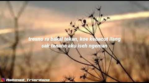 Denny Caknan ft Migga Sadewa - Kebacut Nyaman (Lirik)