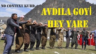 AVDILA GOYİ  - HEY YARE (Bu şarkı patlar) Resimi