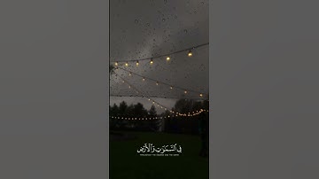 قرآن كريم|فسبحان الله حين تمسون وحين تصبحون -#قران_كريم #قرآن #quran #quran