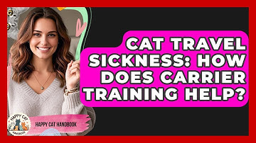 Cat Travel Sickness: How Does Carrier Training Help? - Happy Cat Handbook