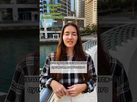 Аутофагия простыми словами👍