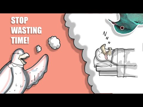 How To STAY Productive In Architecture