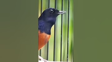 chúc cả nhà ngày cuối tuần với nhiều niềm vui và hạnh phúc chúc luôn sức khỏe và bìnhan bên gia đình