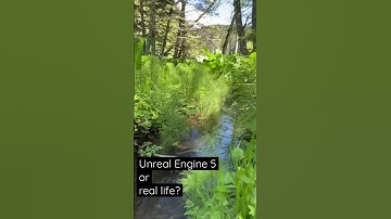 Thumbnail of Unreal Engine 5 or real life? Is it nature or Nanite!?