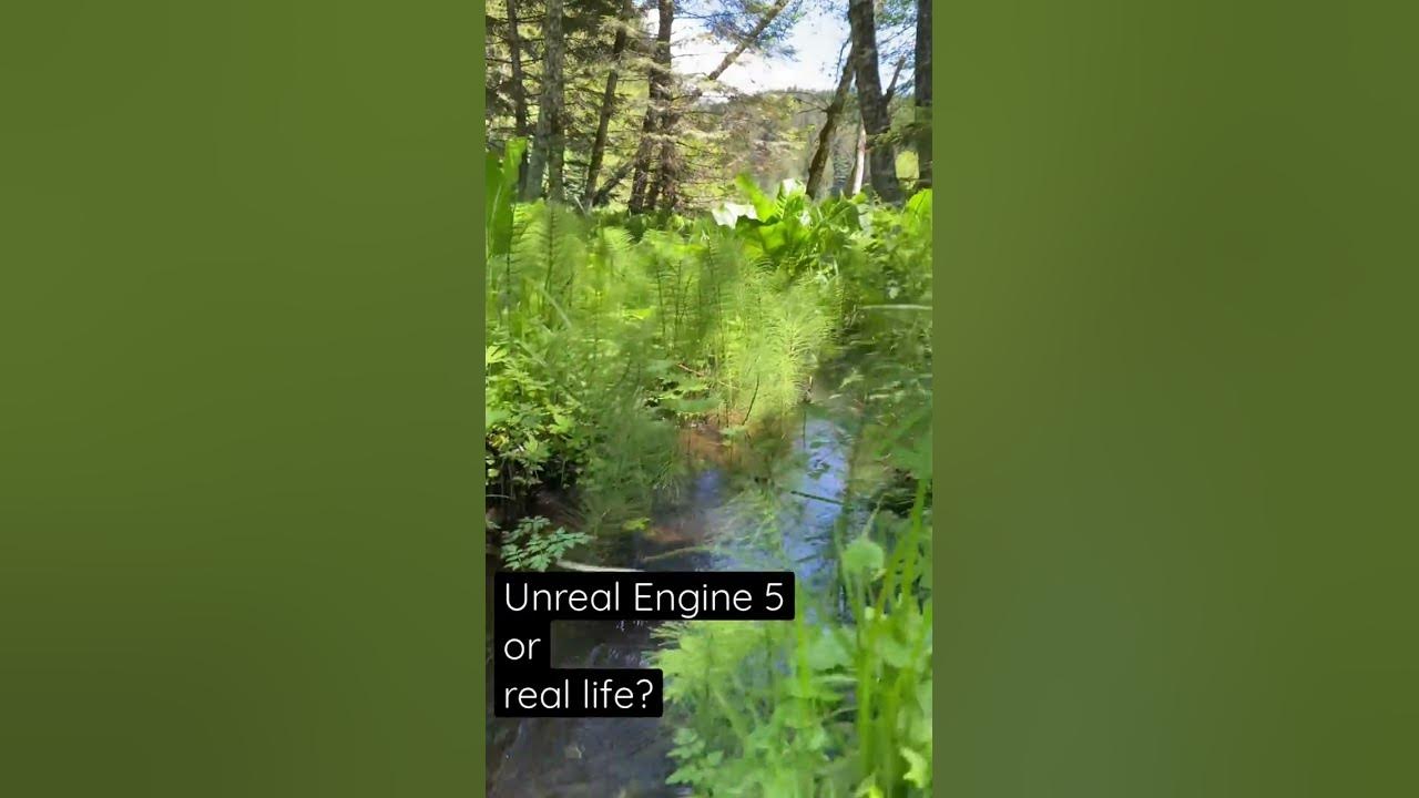 Unreal Engine 5 or real life? Is it nature or Nanite!? Unreal Engine 5 or real life? Is it nature or Nanite!?