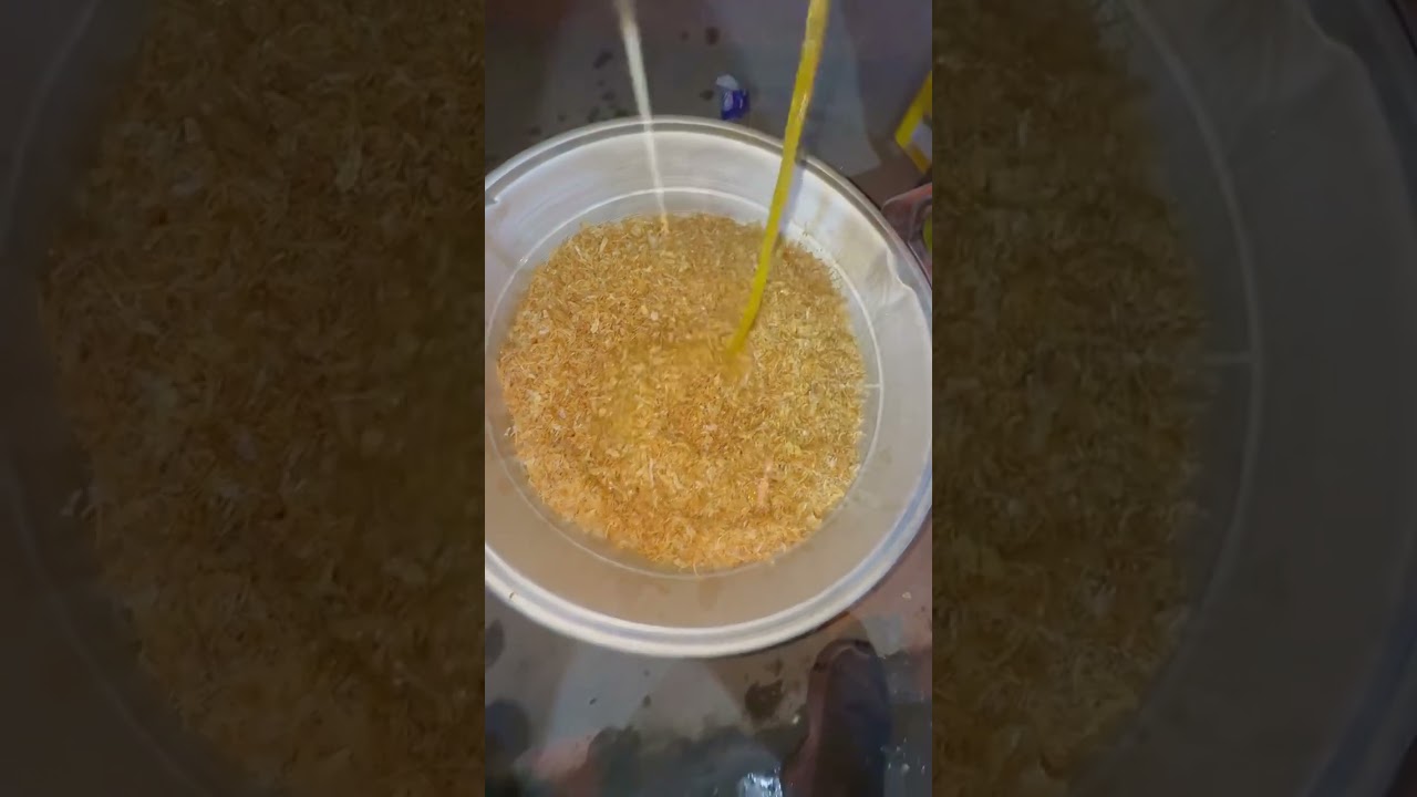 طريقه الاش النجفي