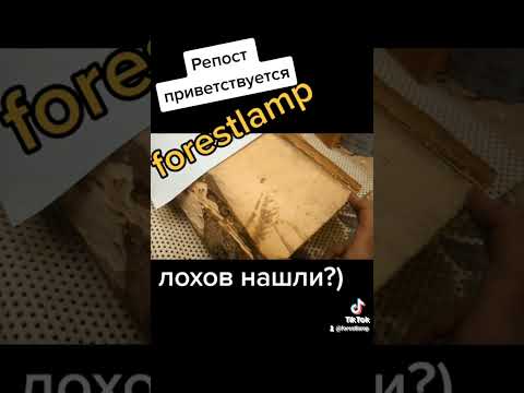 Что такое Потребительский экстремизму)
