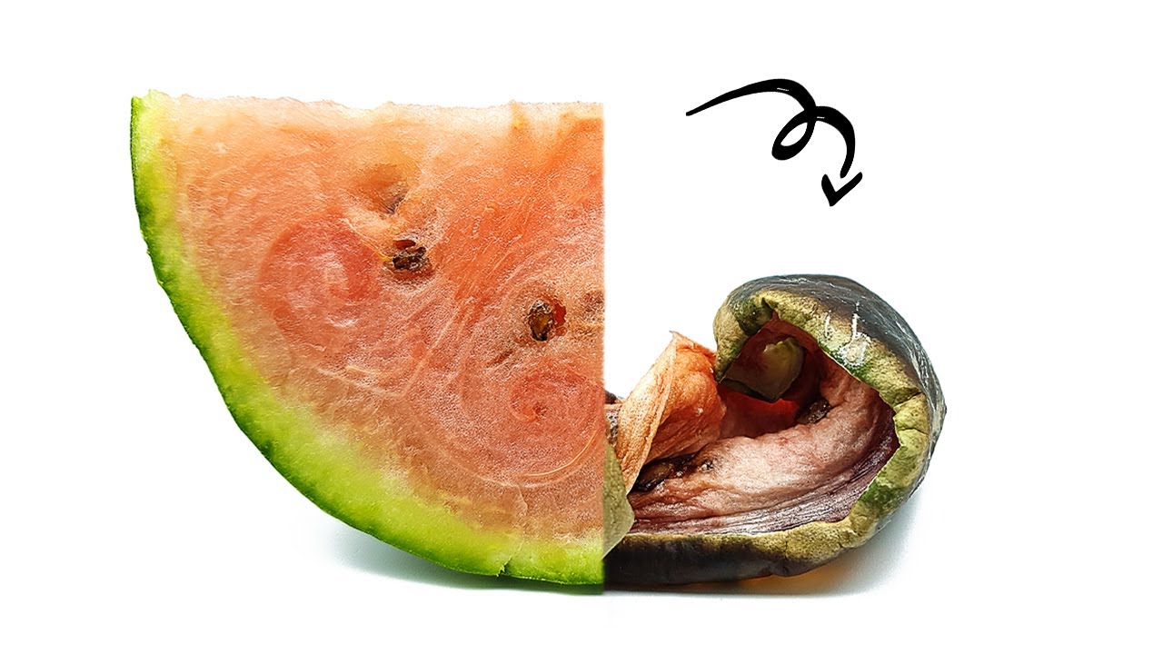 Ghost Eating Watermelon | TIME LAPSE