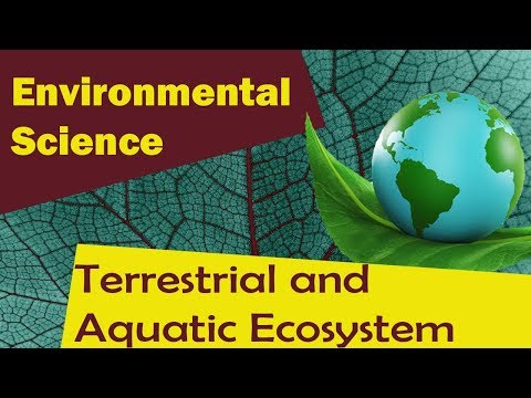 | स्थलीय और जलीय पारिस्थितिकी तंत्र | - पर्यावरण विज्ञान