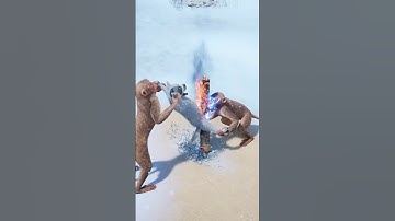 I can feel the pain myself. 🥹😖 #wolfgame #games #wolf #animals