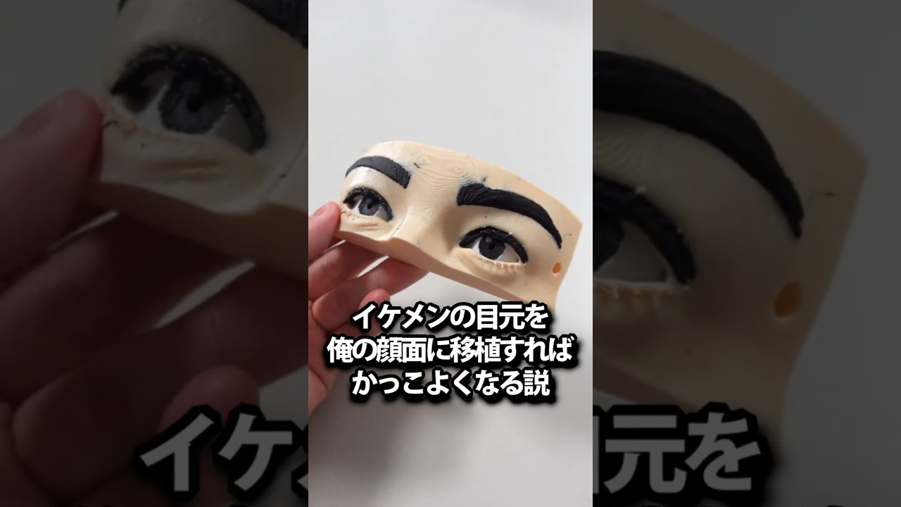 イケメンの目元を俺の顔面に移植すればかっこよくなる説