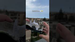 Link in our profile ❤️