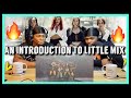 An Introduction To Little Mix| Brothers Reaction!!!