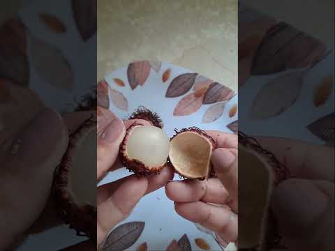 Rambután, una fruta