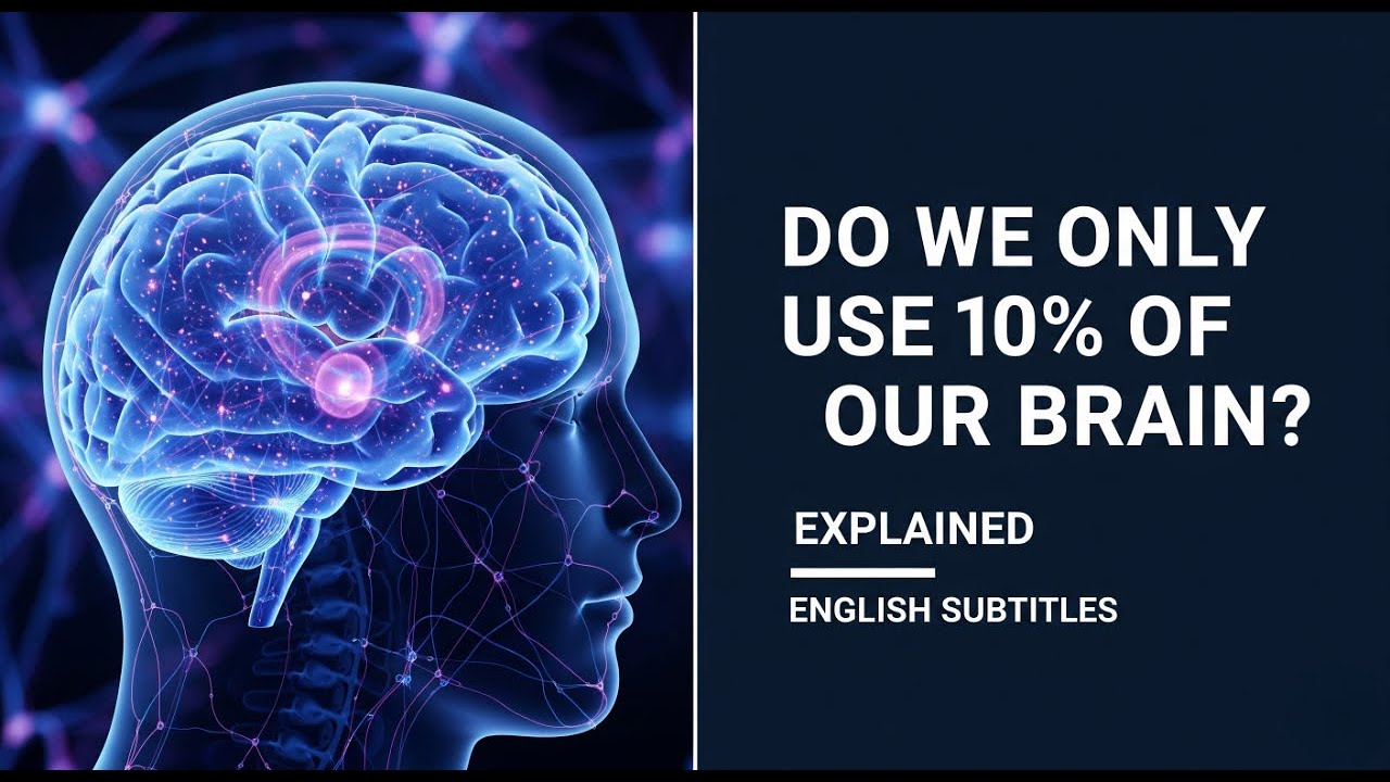 Do We Only Use 10% of Our Brains? | Explained | English Subtitles | Beginners | Simplified