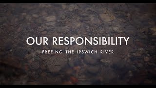Client Video: Our Responsibility: Freeing the Ipswich River