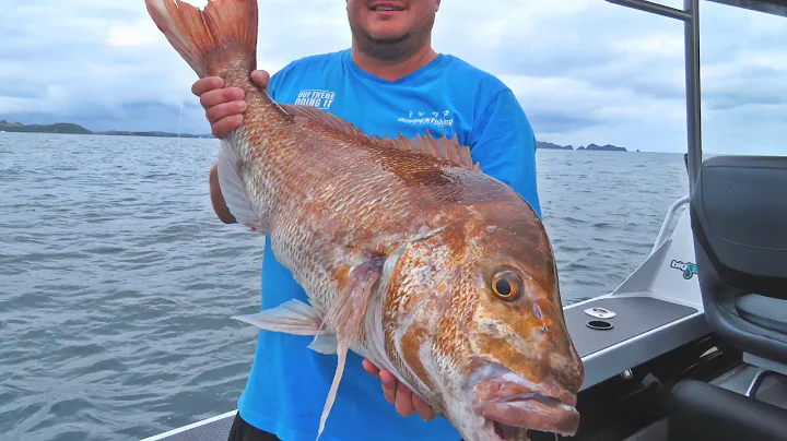 Big Fish Bay of Islands