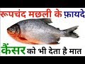 Roopchand fish benefits for human  red bellied piranha fish benefits