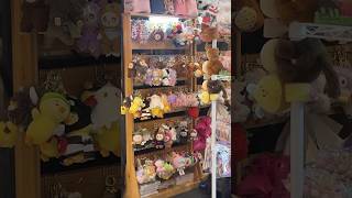 Bagcharm, keychain, labubu, molly, bebek, teddy bear, pig, pigglet, ungly duck, bebek viral