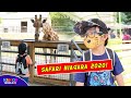 Kiddos World TV Adventure Quiz
