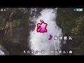 凜(りん) (島津亜矢) Cover 渡辺幸子
