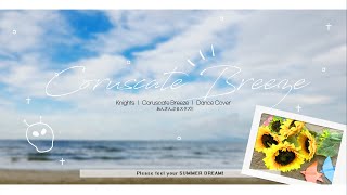 [DANCE] 앙상블스타즈!! Knights - Coruscate Breeze 춤춰보았다 あんスタ 踊ってみた