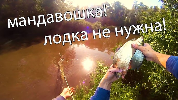 Свежая рыба