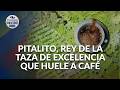 Retos en educación de Pitalito, municipio de Huila que trabaja para que jóvenes vuelvan a las aulas