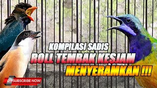 KOMBINASI SADIS MASTERAN TAJAM ROLL TEMBAK KEKINIAN TERBAIK ABAD INI