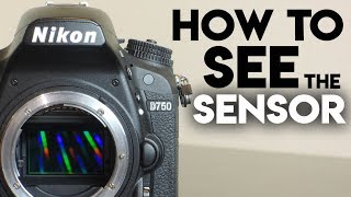 How to access sensor Nikon D750