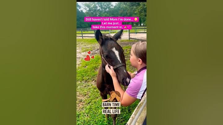 A Day in the Life of a Lesson Kid (Who’s Definitely Not Ready to Leave) #equestrian #horseshorts