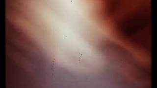 Kulda Je Divoch Ale Moc Ne