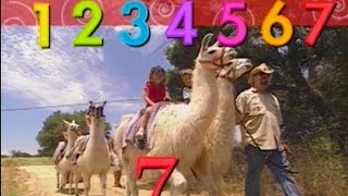 Counting Song Number 7 Llamas | Learn Numbers Kids Songs | From Baby Genius