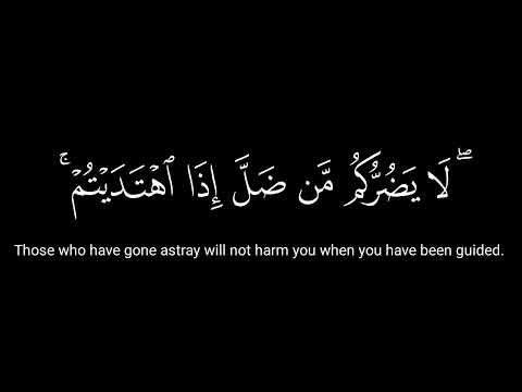 يا أيها الذين آمنوا عليكم أنفسكم لا يضركم من ضل إذا اهتديتم الشيخ ناصر القطامي