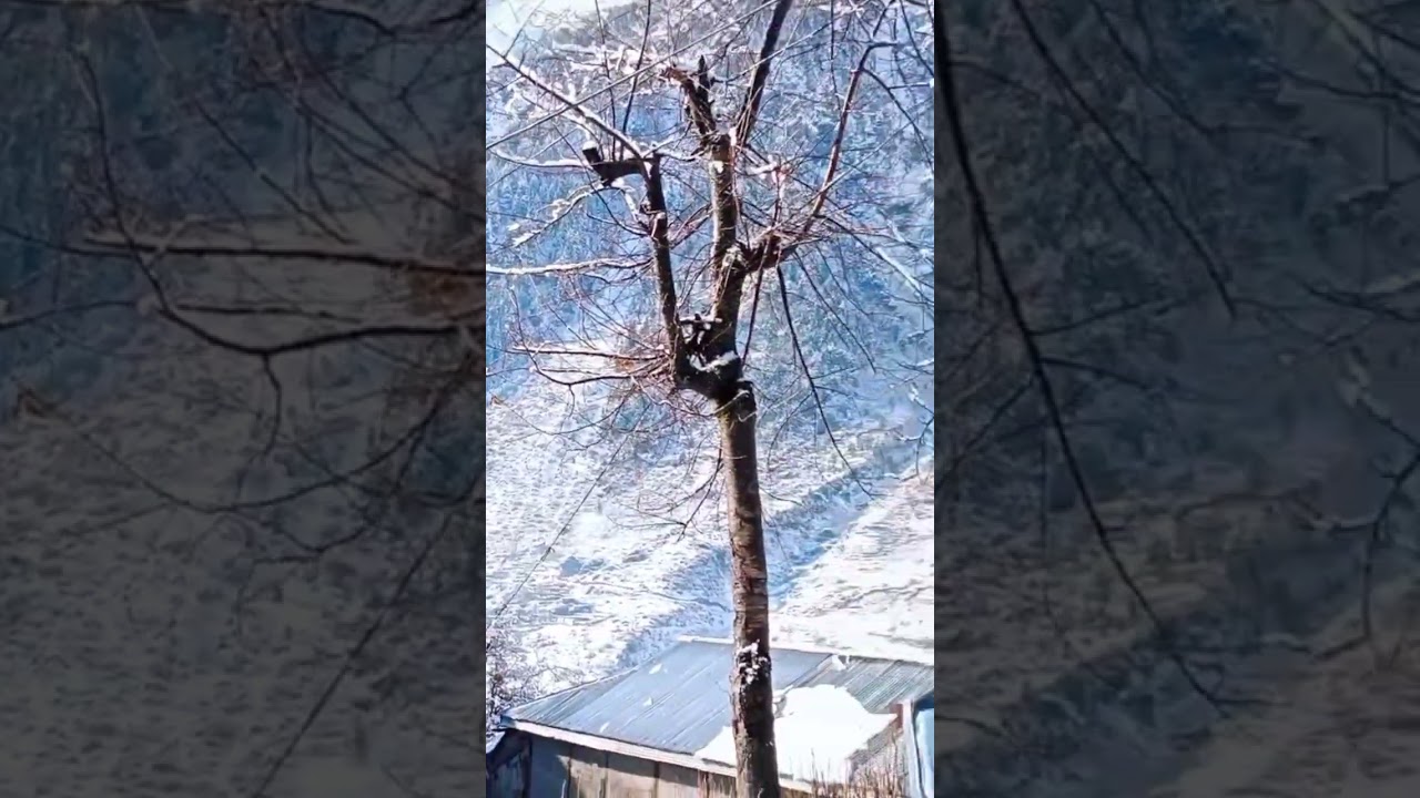 kaghan valley nowadays weather or live snowfall enjoyed