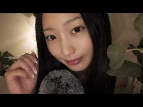 【ASMR】その場にいながら森林浴を体験…自然音やオノマトペで脳から眠る🌿睡眠導入