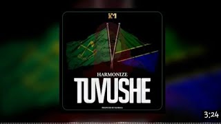 Harmonize - Tuvushe