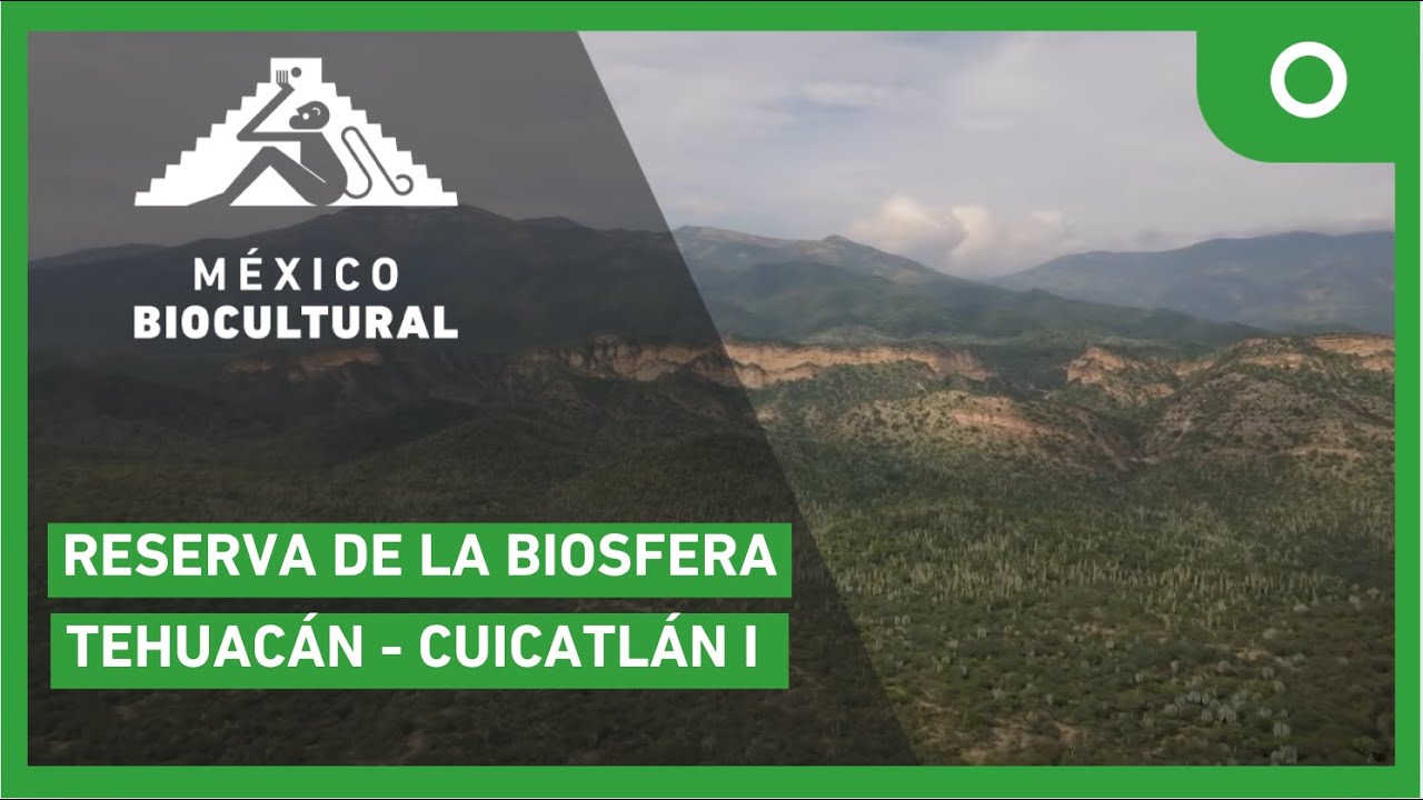 México biocultural - Reserva de la Biosfera Tehuacán-Cuicatlán I (27/01/2025)
