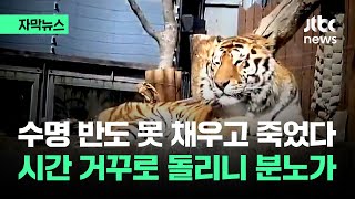 [자막뉴스] 관람객도 '어라' 했는데…죽어가는 두 달간 한 게 / JTBC News