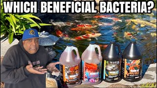 The Truth about Beneficial Bacteria!