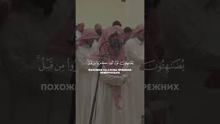 Сура 9 Ат-Тауба (30). Мухаммад аль-Люхайдан