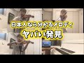 日本人なら絶対分かるメロディーのヤバすぎる大発見した